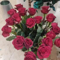 گل رز شاخه ای 50هزار تومان