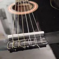 گیتار اموزشی|گیتار، بیس، امپلیفایر|مشهد, محمدآباد|دیوار