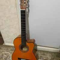 گیتار دیاموند