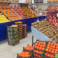 استخدام نیرو ماهر در میوه فروشی