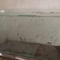 آکواریم با پایه فلزی