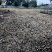 اجاره دادن ۸۰۰متر زمین شراکتی جهت کاشت باقیلا|اجارهٔ دفتر صنعتی، کشاورزی، تجاری|تالش, طولارود|دیوار