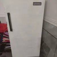 یخچال ۱۰فوت