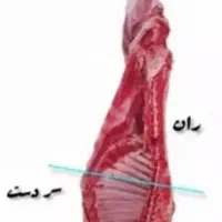 گوشت بره فقط و فقط بره نرینه|خوردنی و آشامیدنی|نیشابور, ناسیونال|دیوار