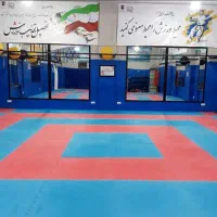 جذب مربی خانم در رشته های مختلف ورزشی