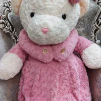 خرس شاسخین|اسباب‌بازی بچه|پاکدشت, پاکدشت (مامازند)|دیوار