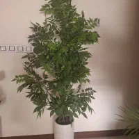 درختچه مصنوعی