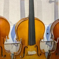 فروش انواع ویولن|ویولن|کرمان, |دیوار