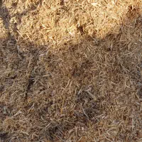 فروش کاه نخود و عدس|لوازم جانبی حیوانات|قیدار, |دیوار