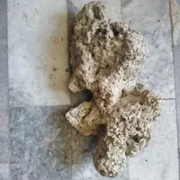 صخره مرجانی تصفیه شده مرده و نمک ابشور|ماهی|پردیس, فاز ۴|دیوار