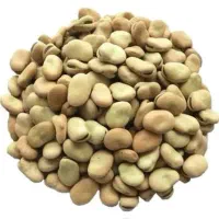 باقله بذری