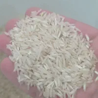 فروش برنج فجر