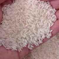 برنج چرداول|خوردنی و آشامیدنی|ایلام, |دیوار