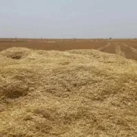 کاه از یه خلوار بیشتره