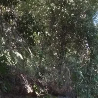 خونه-ویلایی-شهرک-علی-آباد-بالا