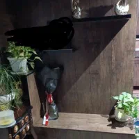 کابینت درحدنو متراژ حدودی۵متر