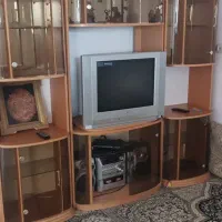 تلویزیون ۲۵ اینچ ال جی