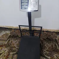 باسکول ۳۰۰کیلوی محک