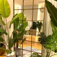 اینه قدی کد 1110نقد و اقساط