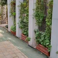 استخدام نیروی میزبان آقا و باریستا