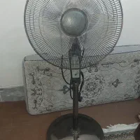 پنکه ایستاده