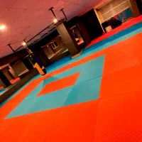 استاد تی ار ایکس و مربی ایروبیک