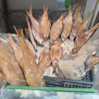 بیکت دودی|ماهی|رشت, شالکو|دیوار