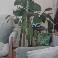اجاره-خانه-جهت-خیریه