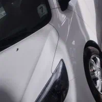شاهین خشک پلاک روز قم