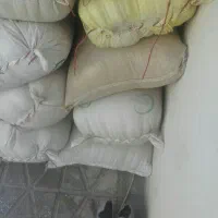 گندم‌۴۵
