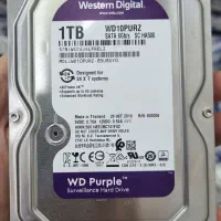 هارد یک ترابایت وسترن بنفش اصلی