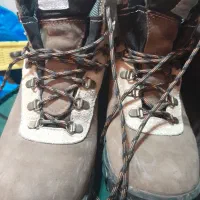 تیم برلن اصلی نونو