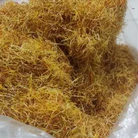 ریشه درجه 1 پر قرمزی