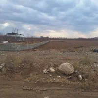 زمین-باغچه-فروشی-فوری