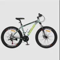 دوچرخه سایز ۲۹ درحد