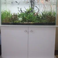 آکواریوم حرفه ای