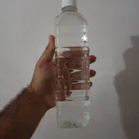 گلاب طبیعی طبیعی