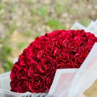 انواع گل های روبانی (گل های ابدی)|گل مصنوعی|بسطام, |دیوار