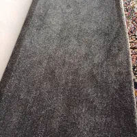 پالازموکت|موکت|جم, |دیوار