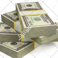 راهنمایی شریک تجاری