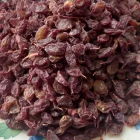 کشمش افتابی