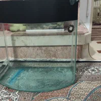 اکواریوم وقفس