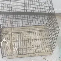 قفس پرنده