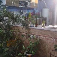 خونه اجاره ای|اجارهٔ خانه و ویلا|یاسوج, |دیوار