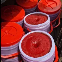 رب گوجه ۵ کیلویی