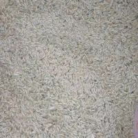 جومحلی آبی فریمان