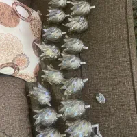 لاله لوستر با لامپ مهتابی آفتابی