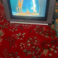 تلویزیون ۲۱سالم سالم هست|تلویزیون و پروژکتور|کرمان, |دیوار