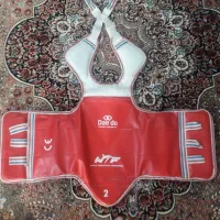 هوگو تکواندو