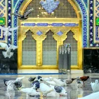 تور ریلی مشهد ویژه تابستان